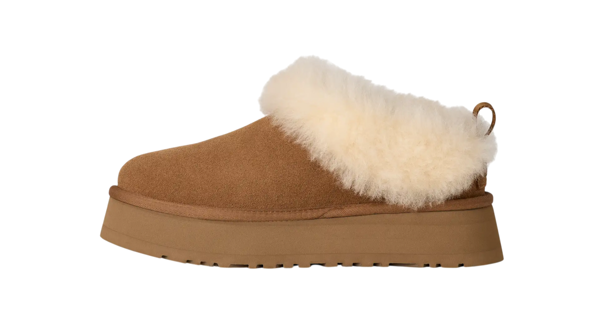 UGG Tazzelle – Chestnut | 100% Original