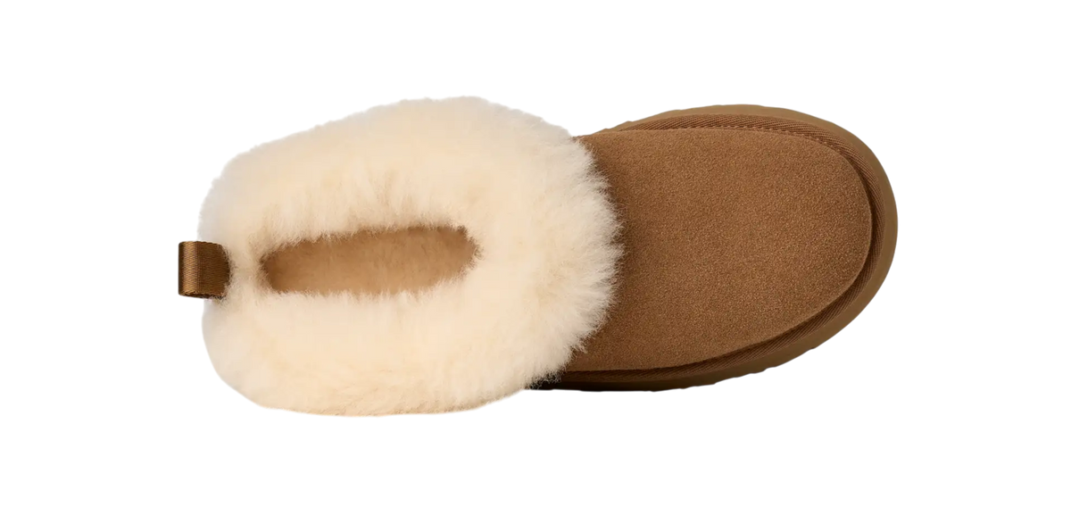 UGG Tazzelle – Chestnut | 100% Original