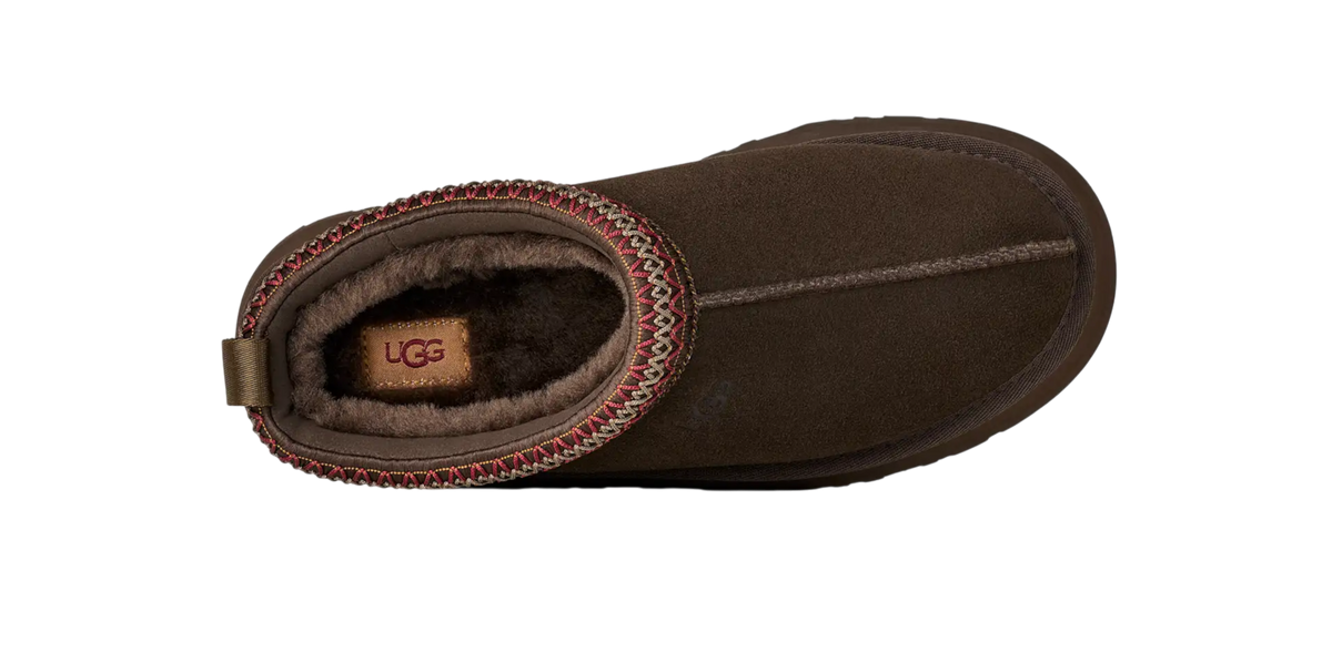 UGG Tazz II – Dusted Cocoa | 100% Original